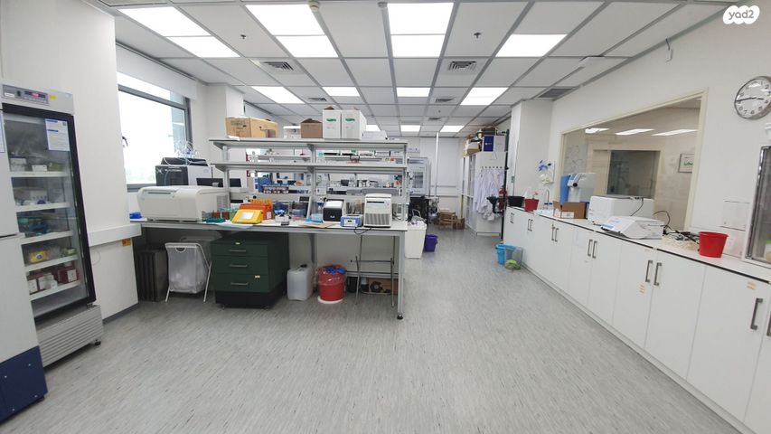 משרדים, אלי הורוביץ, רחובות