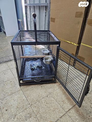 תמונת מודעה - חיות מחמד