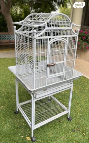 תמונת מודעה - חיות מחמד