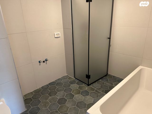 יהודה המכבי 