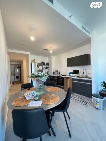 ליאונרדו דה וינצ'י 