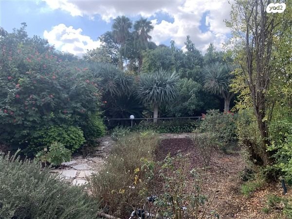 בית פרטי/ קוטג', ירקונה