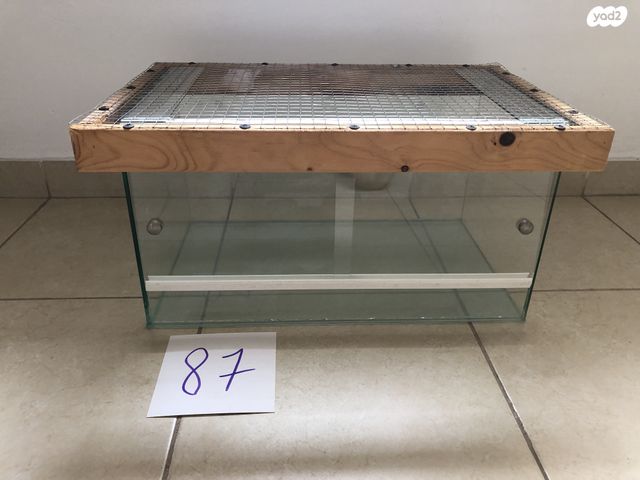 תמונת מודעה - חיות מחמד