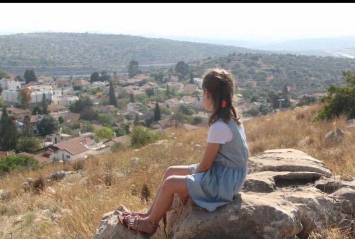 מגרשים
