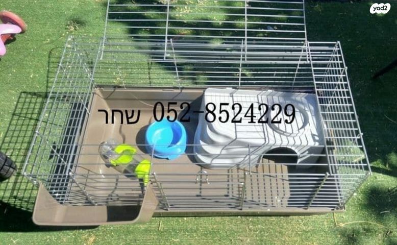 תמונת מודעה - חיות מחמד