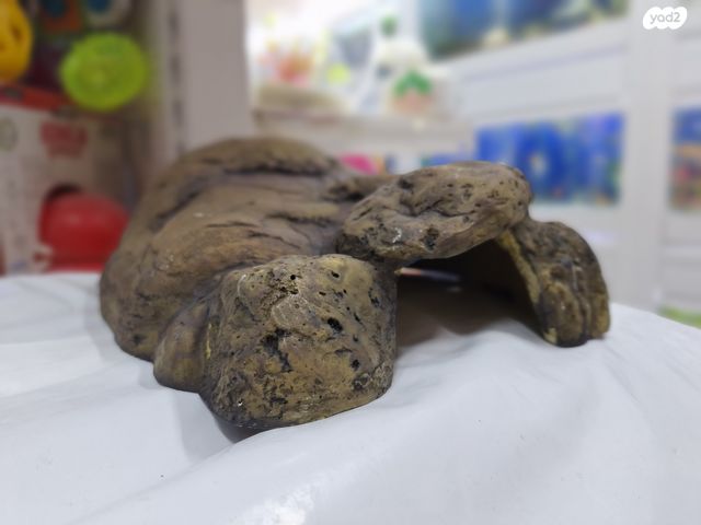 תמונת מודעה - חיות מחמד