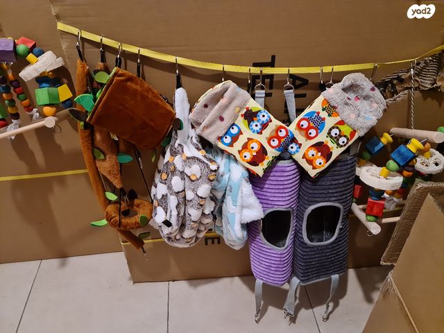 תמונת מודעה - חיות מחמד