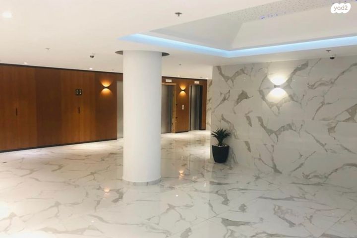 דירה, אשקלון