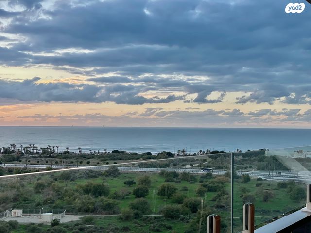 דירה, אשקלון