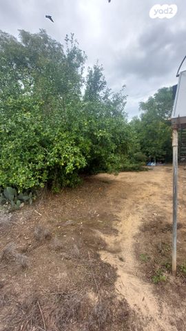 משק חקלאי/ נחלה, בורגתה