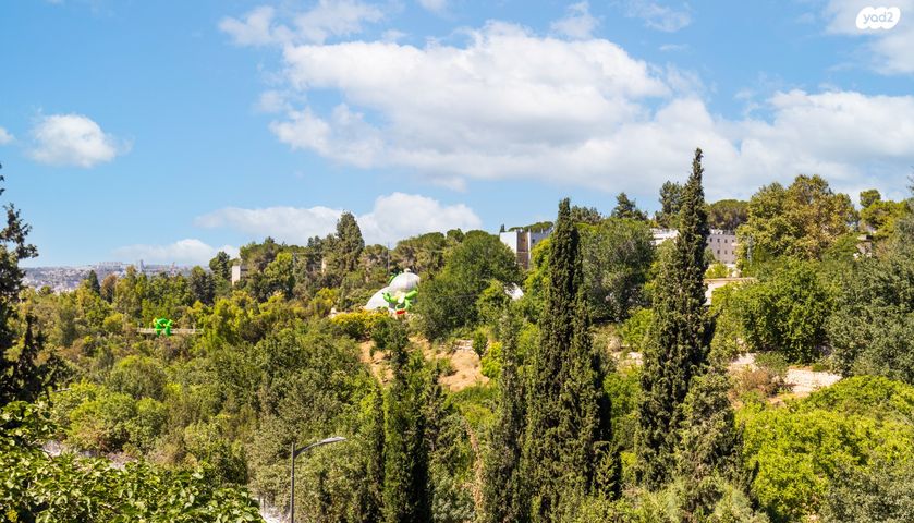 דו משפחתי, נווה שאנן, ירושלים