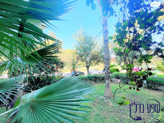 מקווה ישראל 