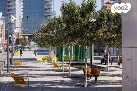 משרדים, תל אביב יפו