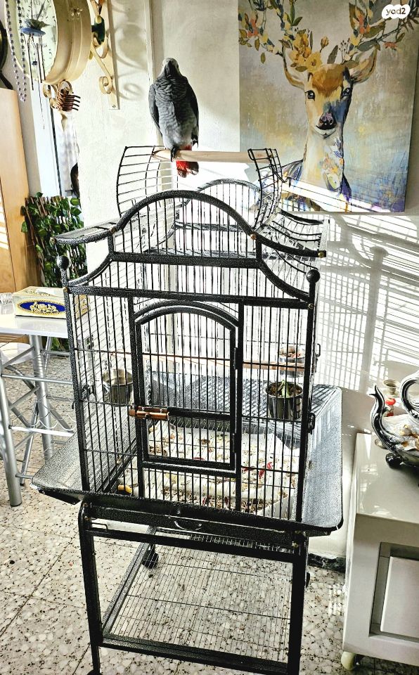 אביזרים | כלוב האכלת יד