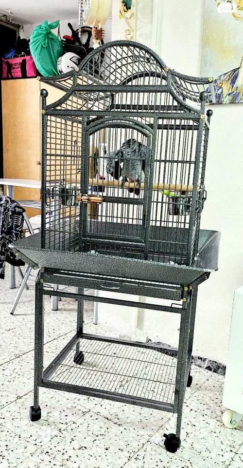 אביזרים | כלוב האכלת יד