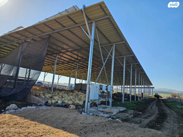 מגרשים, מלאה