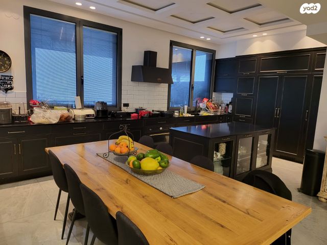 גג/ פנטהאוז, אריאל שרון 6, גבעתיים