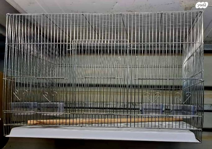 תמונת מודעה - חיות מחמד