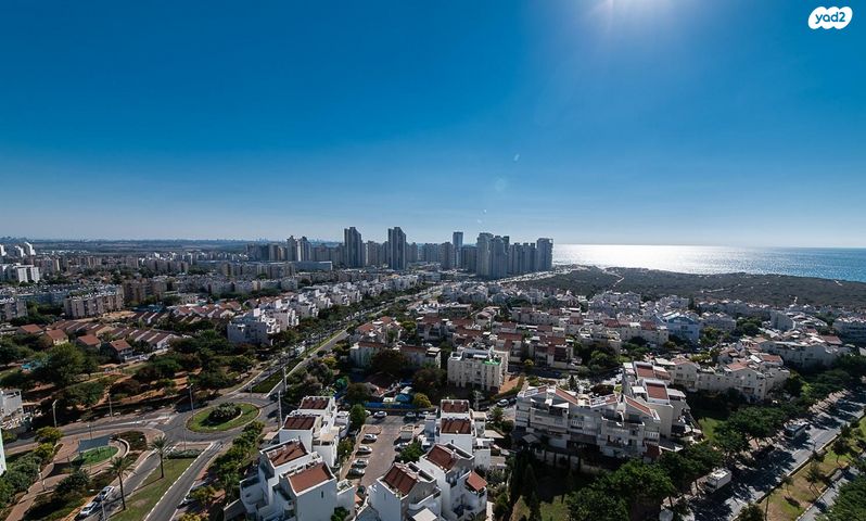 דווייט דייוויד איזנהאואר 