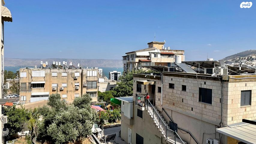 שלמה המלך 