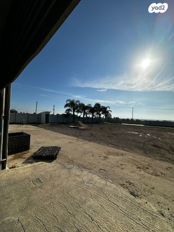 מחסנים, נוגה