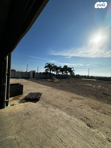 מחסנים, נוגה