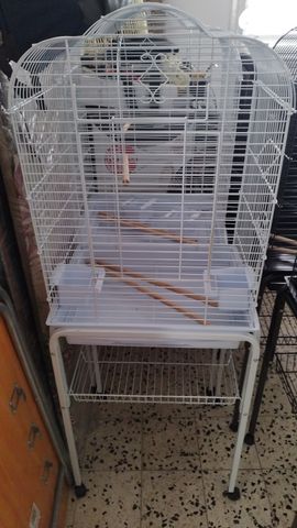 תמונת מודעה - חיות מחמד