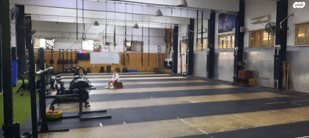 אולמות, חיפה