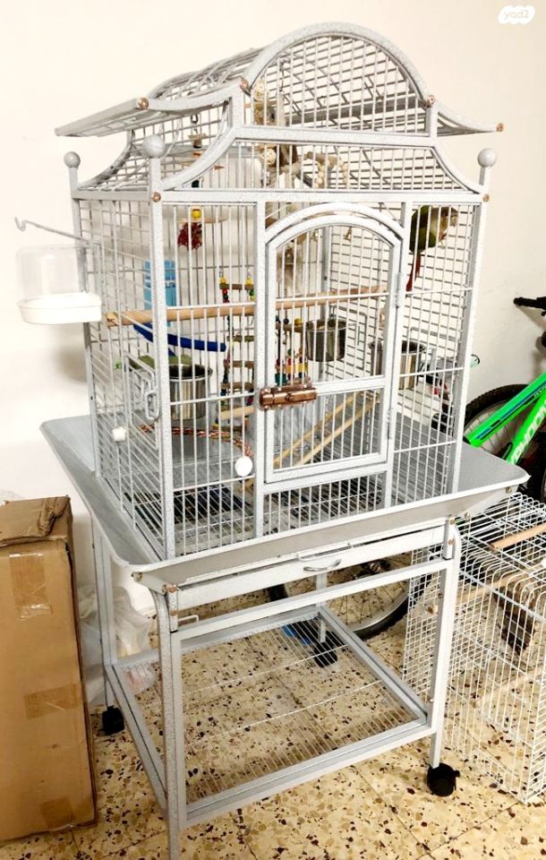 אביזרים | כלוב האכלת יד