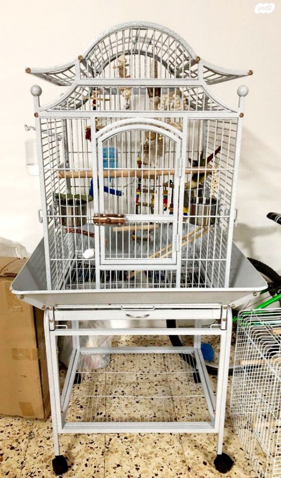 אביזרים | כלוב האכלת יד