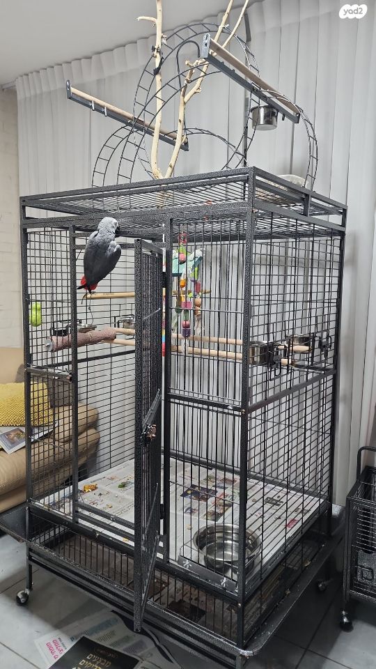 אביזרים | כלוב האכלת יד