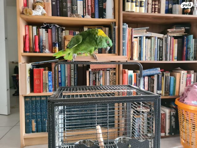 אביזרים | כלוב