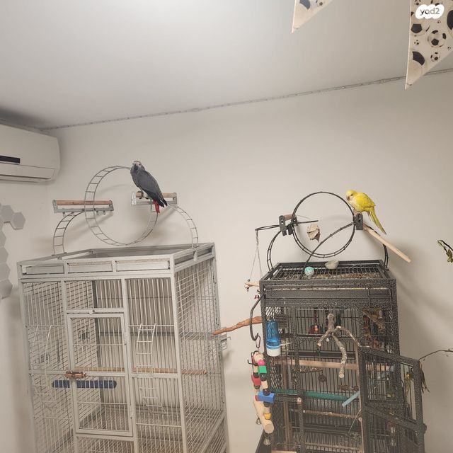 אביזרים | כלוב האכלת יד