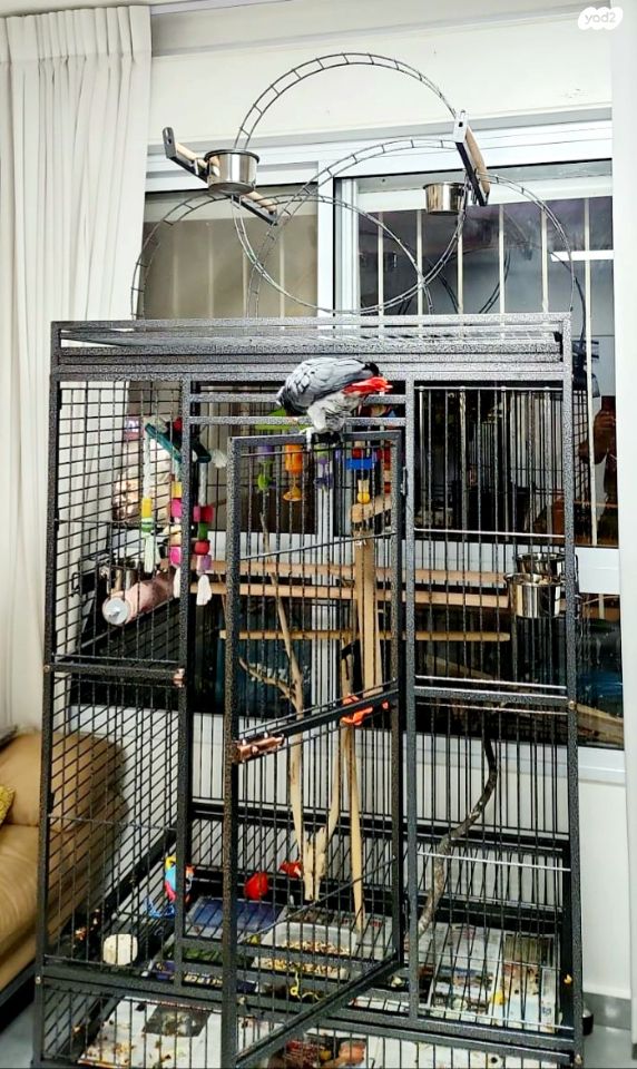 אביזרים | כלוב האכלת יד