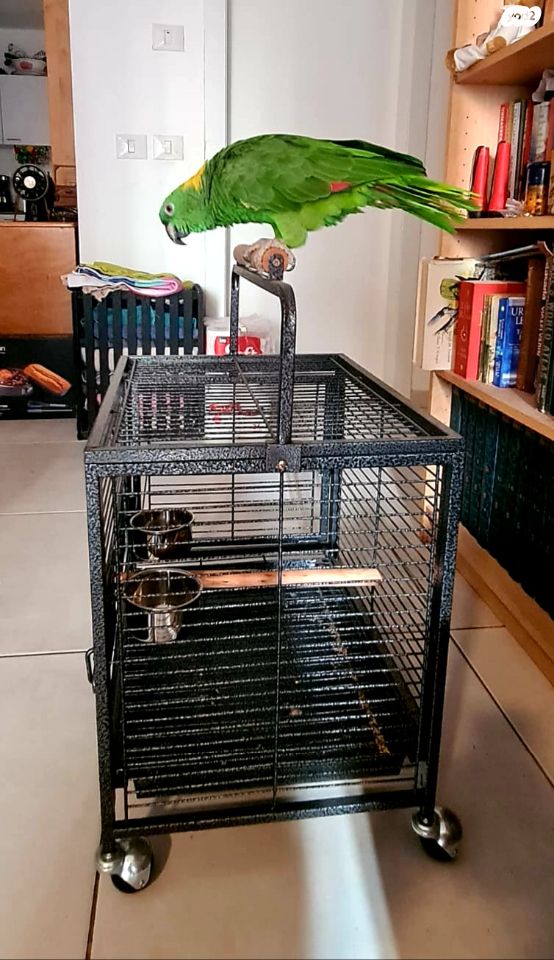 אביזרים | כלוב