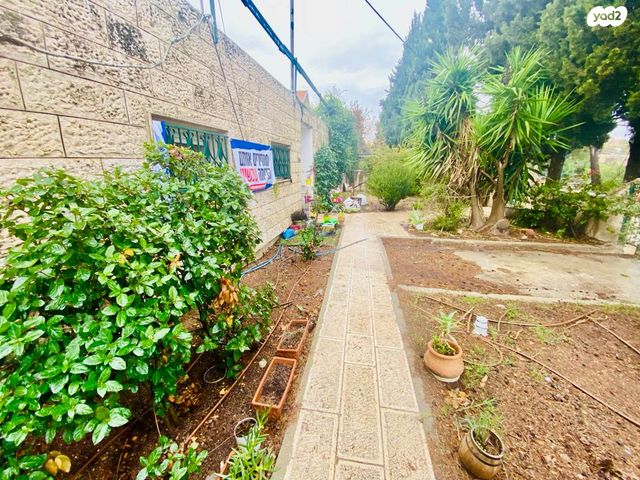 משק חקלאי/ נחלה, אורה