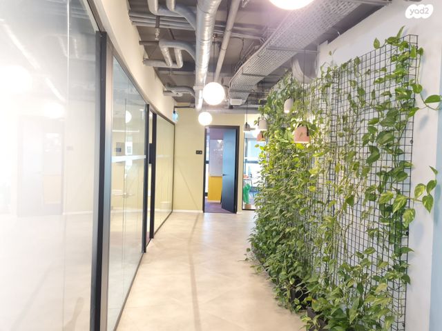 משרדים, קרליבך, לב תל אביב, לב העיר צפון, תל אביב יפו