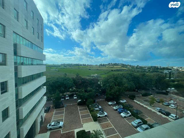 משרדים, גולדה מאיר, שאר העיר, נס ציונה