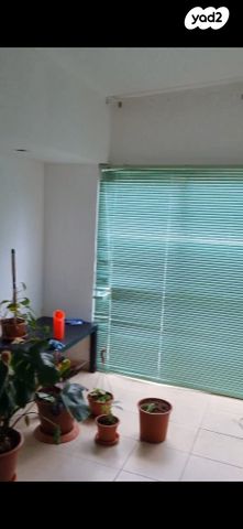 דירה, שוק תלפיות, חיפה