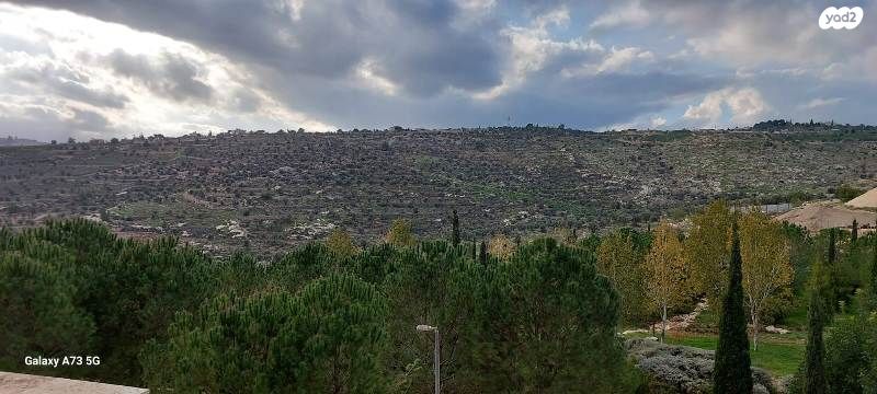 דירת גן, הרב אריה בינה, חומת שמואל, הר חומה, ירושלים