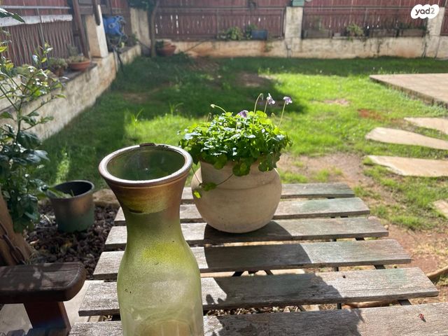 דו משפחתי, סמטת הערמונים, קדימה צורן