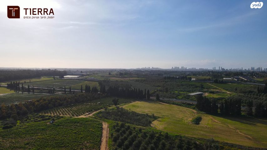 דירה, קדימה צורן