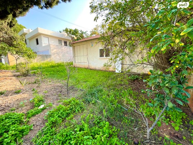 בית פרטי/ קוטג', יבנה, הרצליה