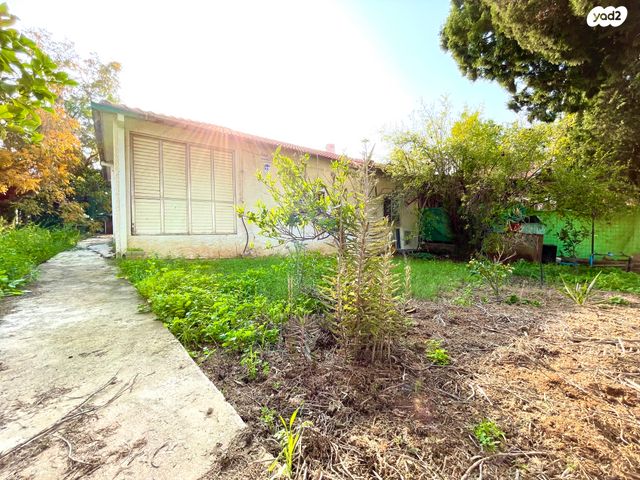 מגרשים, יבנה, הרצליה