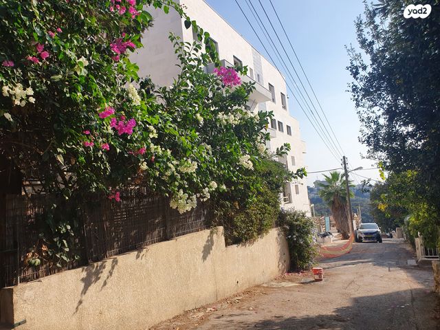 דירת גן, כרמליה, חיפה