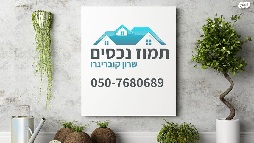 מגרשים