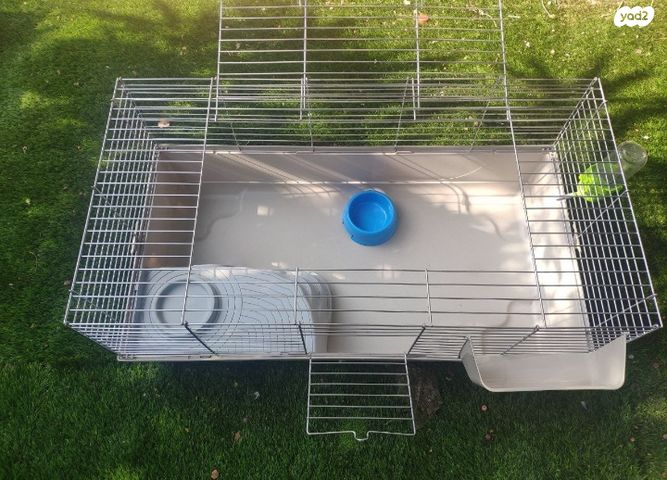 תמונת מודעה - חיות מחמד