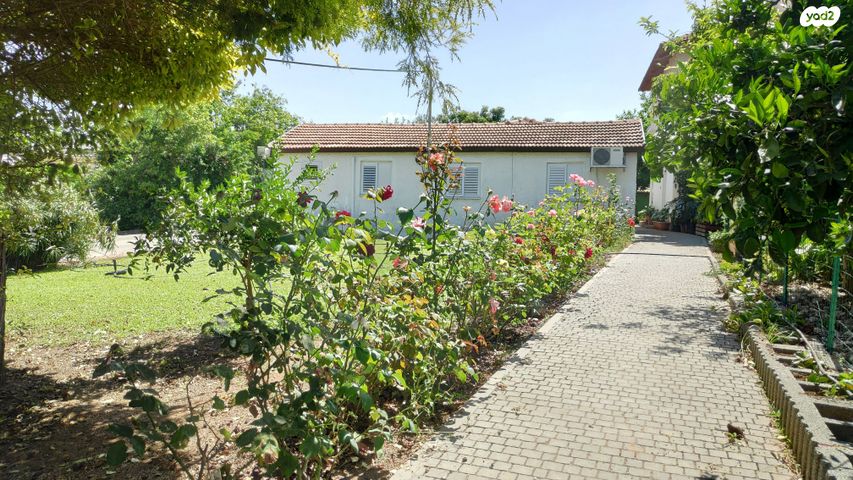 משק חקלאי/ נחלה, צור משה