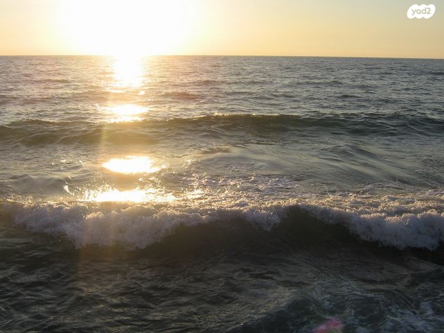 בניין מגורים, שלום עליכם, תל אביב יפו