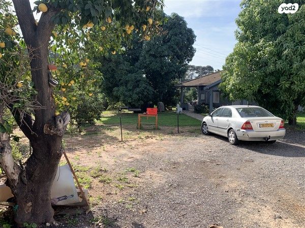 משק חקלאי/ נחלה, עין ורד